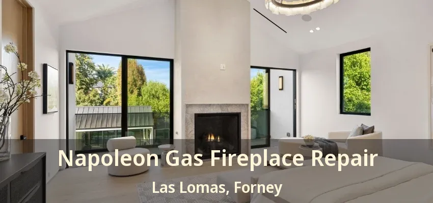 Napoleon Gas Fireplace Repair Las Lomas, Forney - TX
