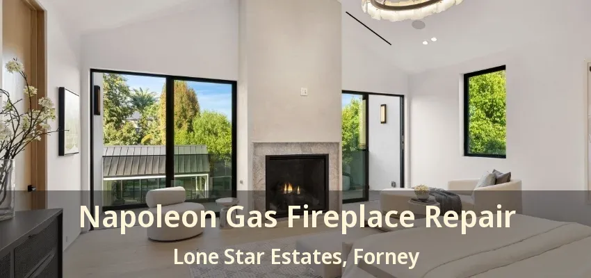 Napoleon Gas Fireplace Repair Lone Star Estates, Forney - TX