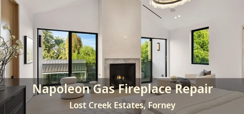 Napoleon Gas Fireplace Repair Lost Creek Estates, Forney - TX