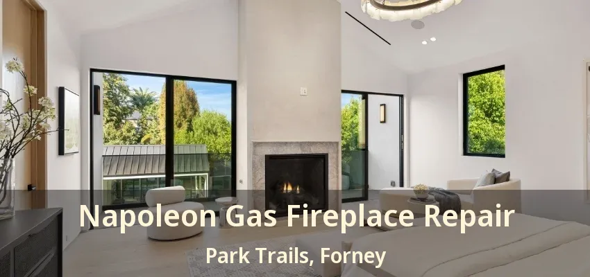 Napoleon Gas Fireplace Repair Park Trails, Forney - TX