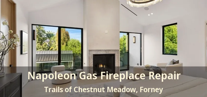 Napoleon Gas Fireplace Repair Trails of Chestnut Meadow, Forney - TX