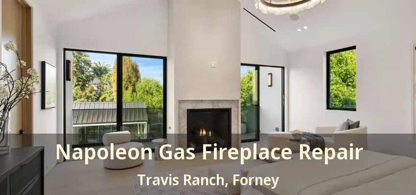 Napoleon Gas Fireplace Repair Travis Ranch, Forney - TX