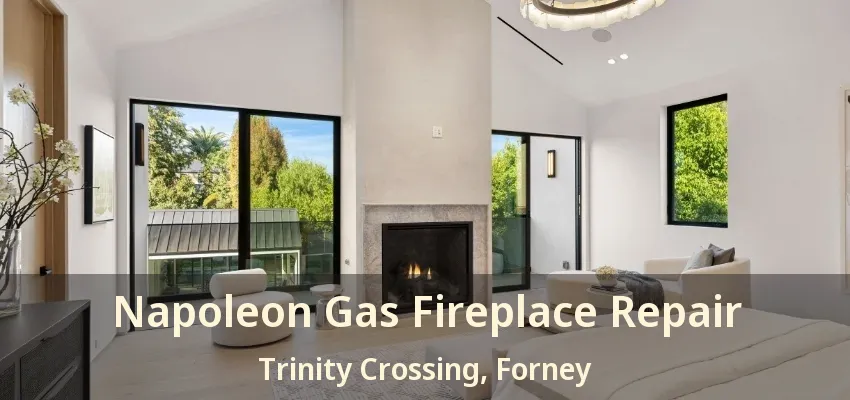 Napoleon Gas Fireplace Repair Trinity Crossing, Forney - TX