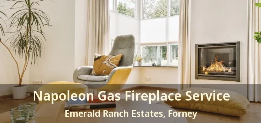 Napoleon Gas Fireplace Service Emerald Ranch Estates, Forney - TX