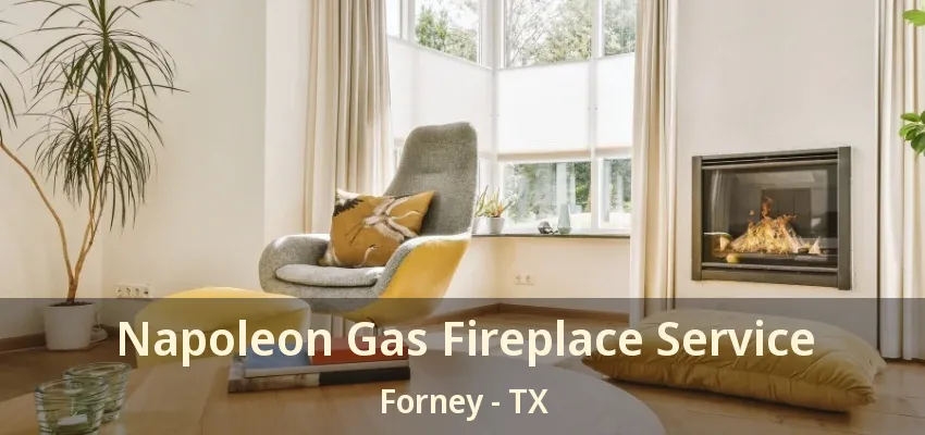 Napoleon Gas Fireplace Service Forney - TX
