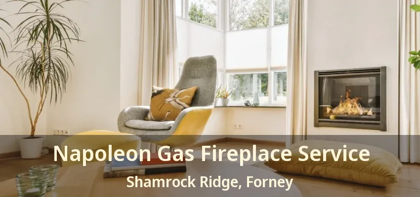 Napoleon Gas Fireplace Service Shamrock Ridge, Forney - TX