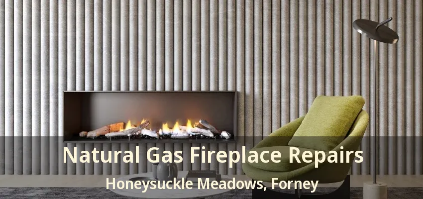 Natural Gas Fireplace Repairs Honeysuckle Meadows, Forney - TX