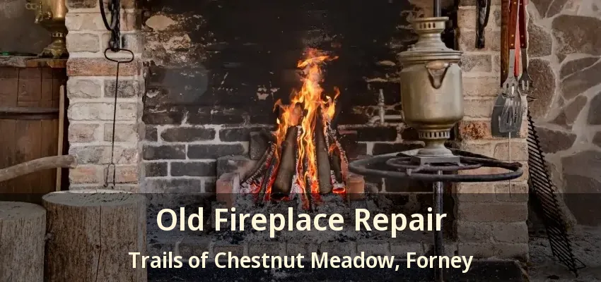 Old Fireplace Repair Trails of Chestnut Meadow, Forney - TX