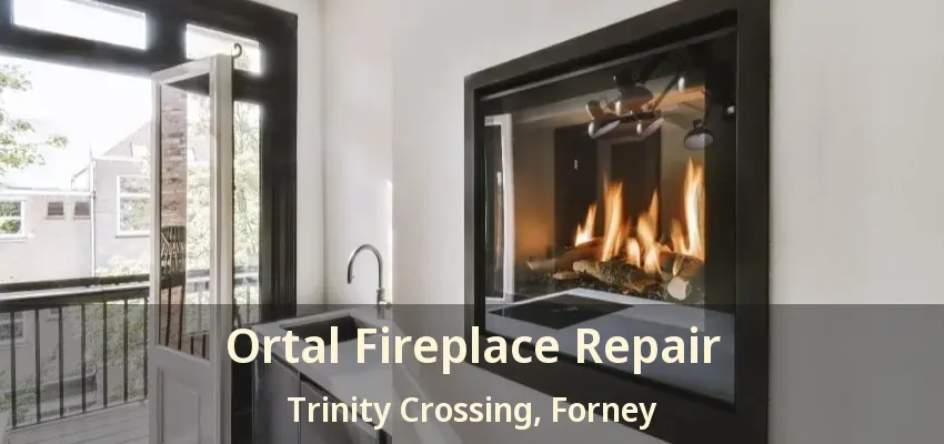 Ortal Fireplace Repair Trinity Crossing, Forney - TX