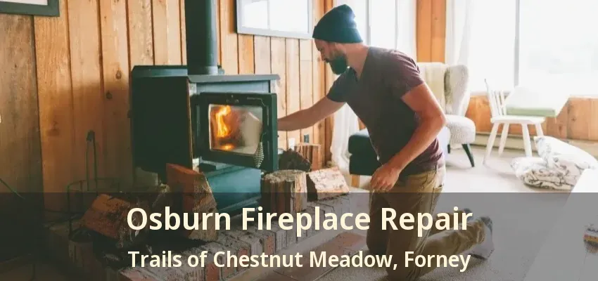 Osburn Fireplace Repair Trails of Chestnut Meadow, Forney - TX