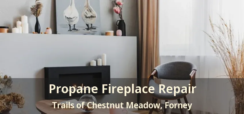 Propane Fireplace Repair Trails of Chestnut Meadow, Forney - TX