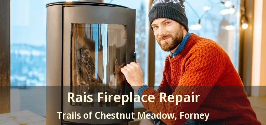 Rais Fireplace Repair Trails of Chestnut Meadow, Forney - TX