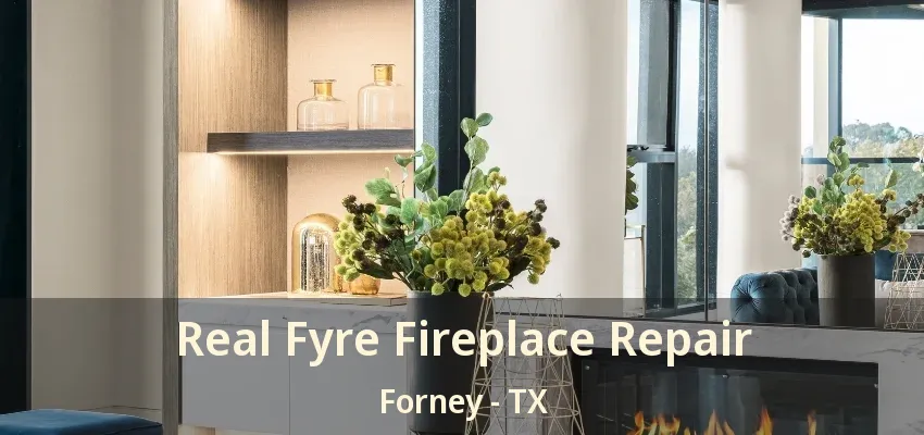 Real Fyre Fireplace Repair Forney - TX