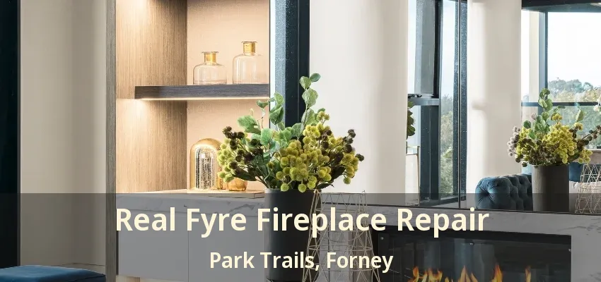 Real Fyre Fireplace Repair Park Trails, Forney - TX