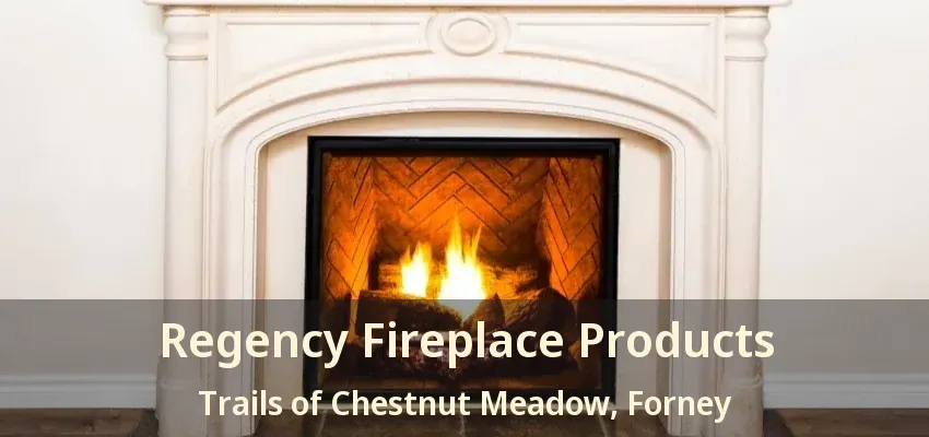 Regency Fireplace Products Trails of Chestnut Meadow, Forney - TX