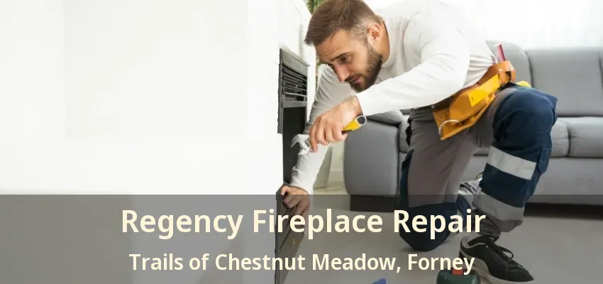 Regency Fireplace Repair Trails of Chestnut Meadow, Forney - TX