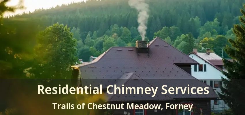 Residential Chimney Services Trails of Chestnut Meadow, Forney - TX