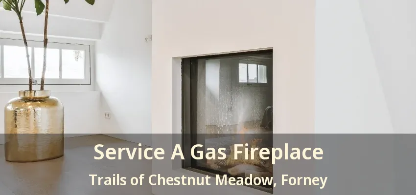 Service A Gas Fireplace Trails of Chestnut Meadow, Forney - TX