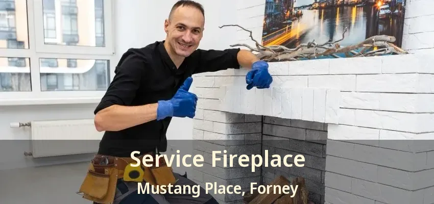 Service Fireplace Mustang Place, Forney - TX