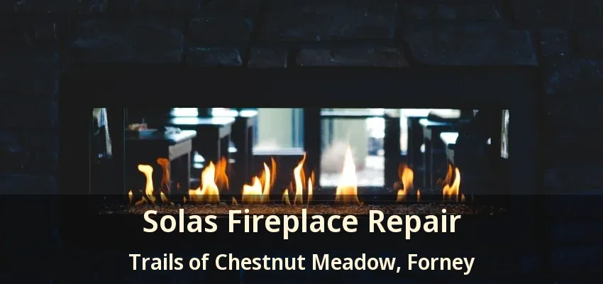 Solas Fireplace Repair Trails of Chestnut Meadow, Forney - TX