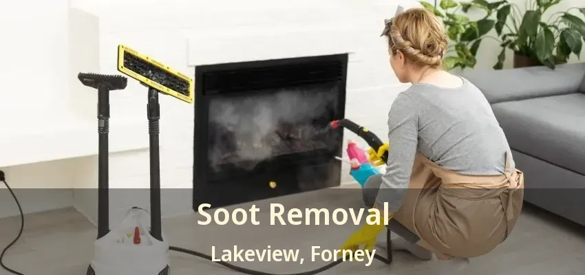 Soot Removal Lakeview, Forney - TX