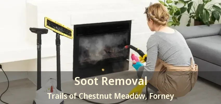 Soot Removal Trails of Chestnut Meadow, Forney - TX