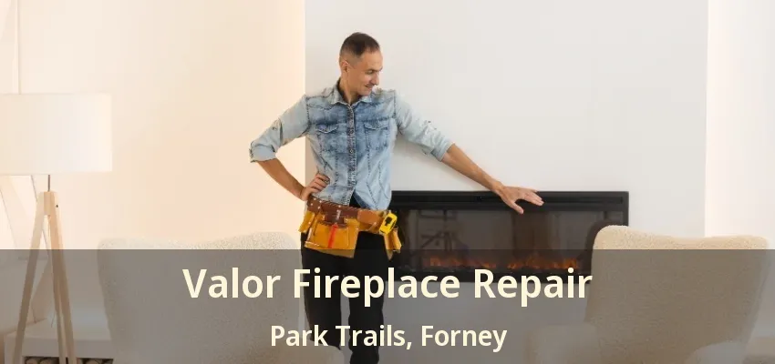 Valor Fireplace Repair Park Trails, Forney - TX