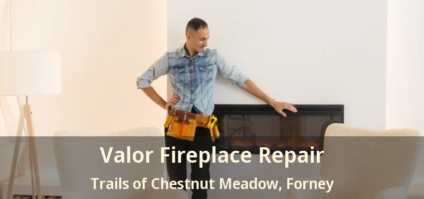 Valor Fireplace Repair Trails of Chestnut Meadow, Forney - TX