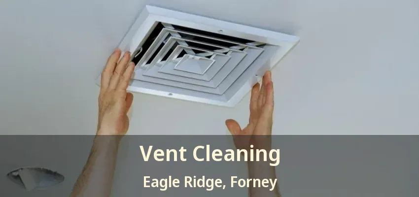 Vent Cleaning Eagle Ridge, Forney - TX