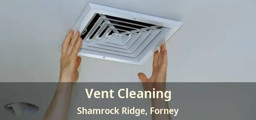 Vent Cleaning Shamrock Ridge, Forney - TX