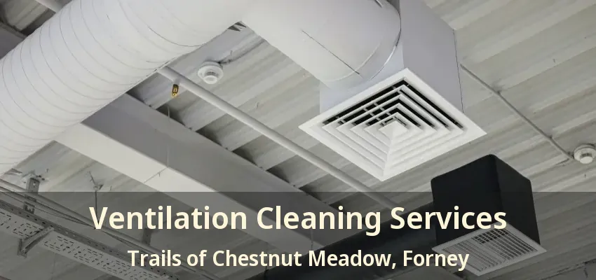 Ventilation Cleaning Services Trails of Chestnut Meadow, Forney - TX