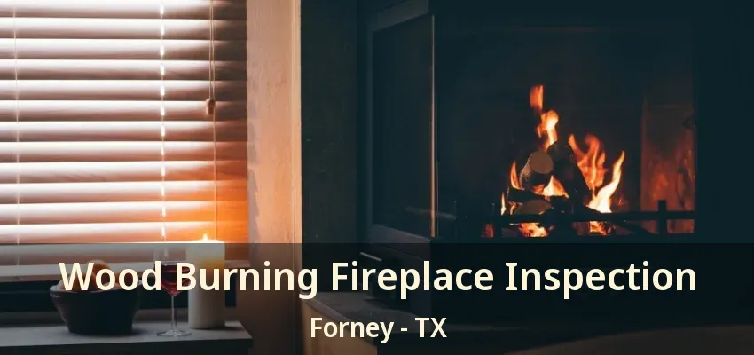 Wood Burning Fireplace Inspection Forney - TX