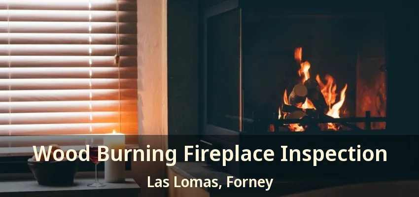 Wood Burning Fireplace Inspection Las Lomas, Forney - TX