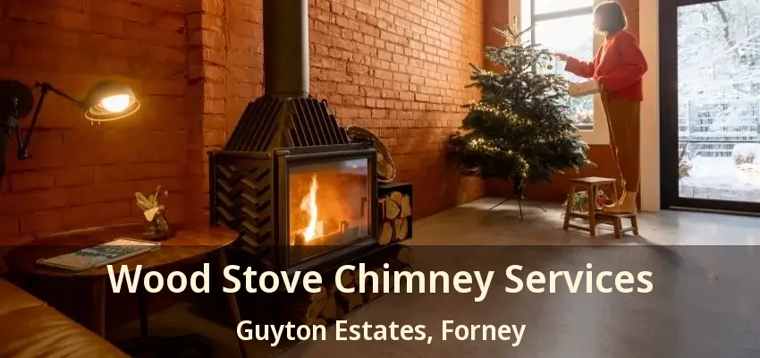 Wood Stove Chimney Services Guyton Estates, Forney - TX