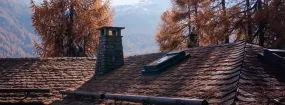 Chimney Animal Removal Forney