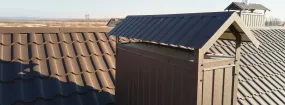 Chimney Cap Services Forney